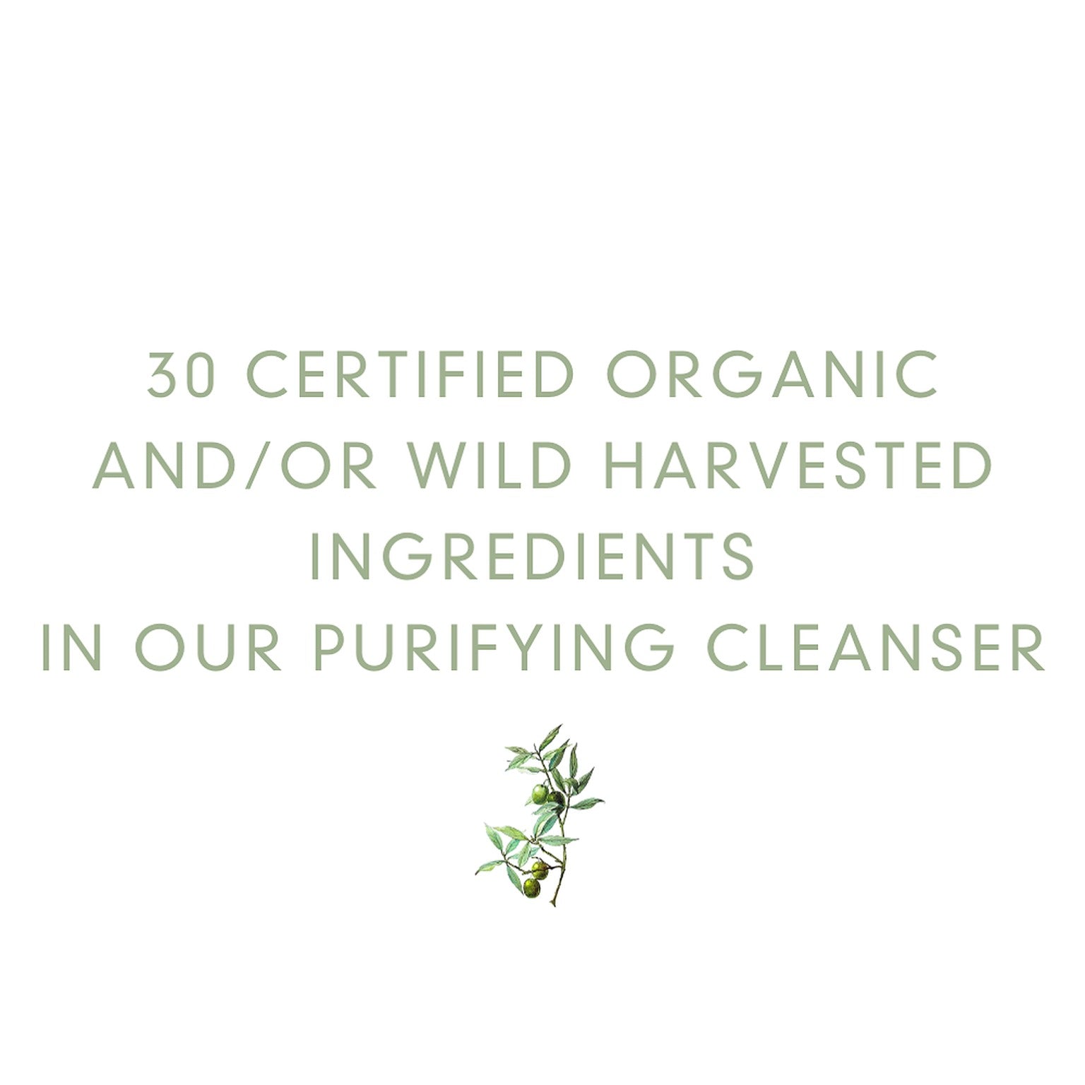 Abloom Purifying Cleanser - biologisch - INDISHA