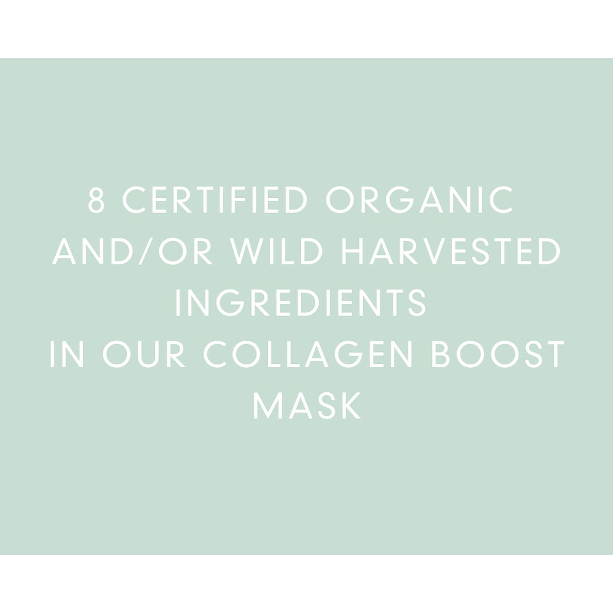 Collagen Boost Mask
