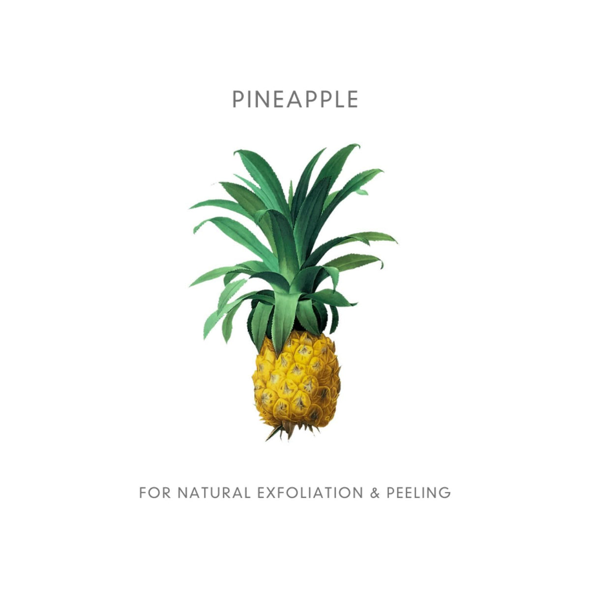 Abloom Enzym Peeling - het alternatief voor een scrub of chemische peeling - Ananas