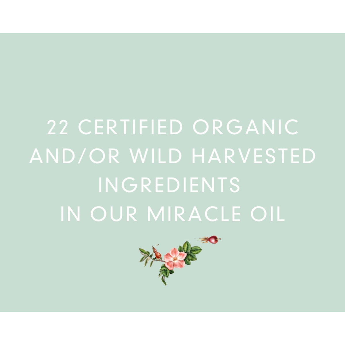 Abloom Miracle Oil 22 gecertificeerd biologische ingredienten