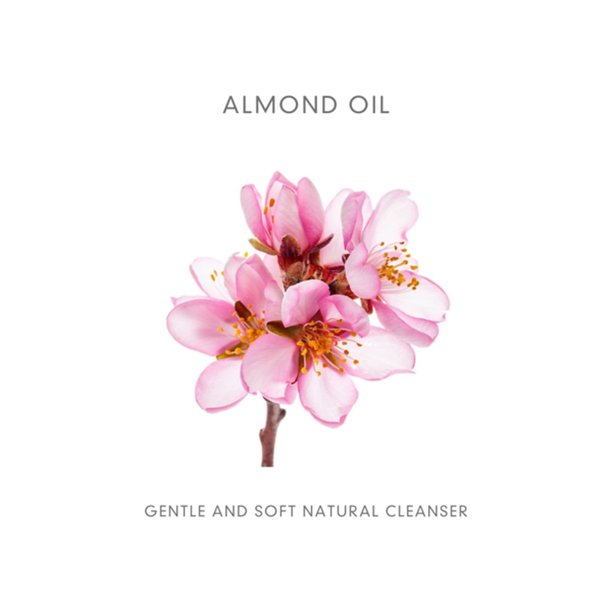 Abloom Biologische Oog Make Up Remover | Amandel olie