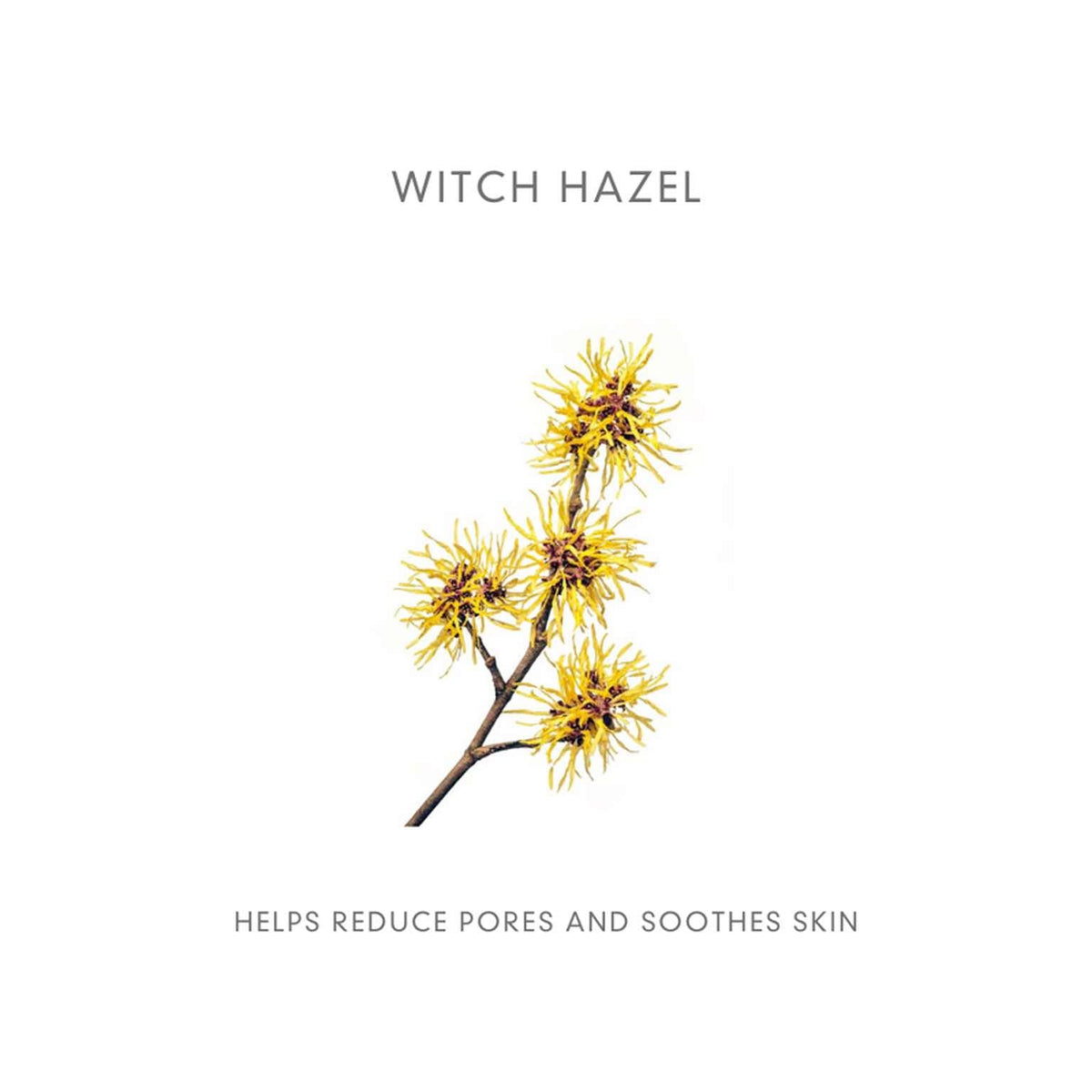 Abloom Organic Hydrating Toner Witch Hazel