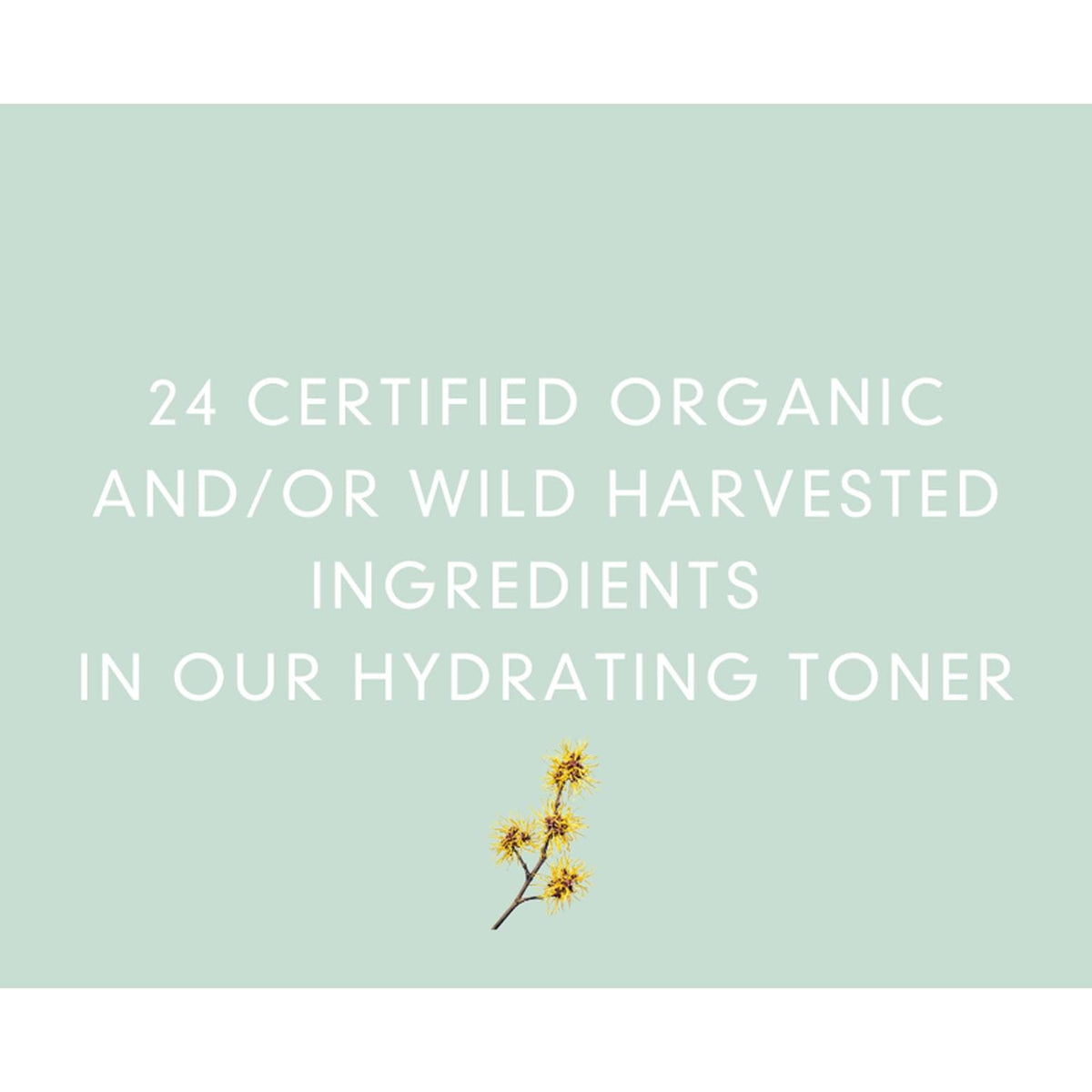 Abloom Organic Hydrating Toner ingredienten
