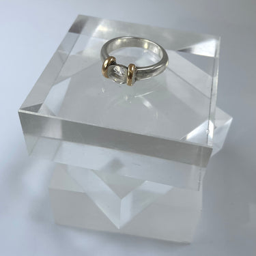 BEAUTIFUL PEOPLE handgemaakte bi color ring