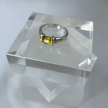 BEAUTIFUL PEOPLE handgemaakte bi color ring