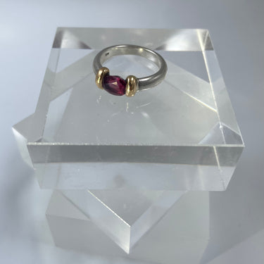 BEAUTIFUL PEOPLE handgemaakte bi color ring
